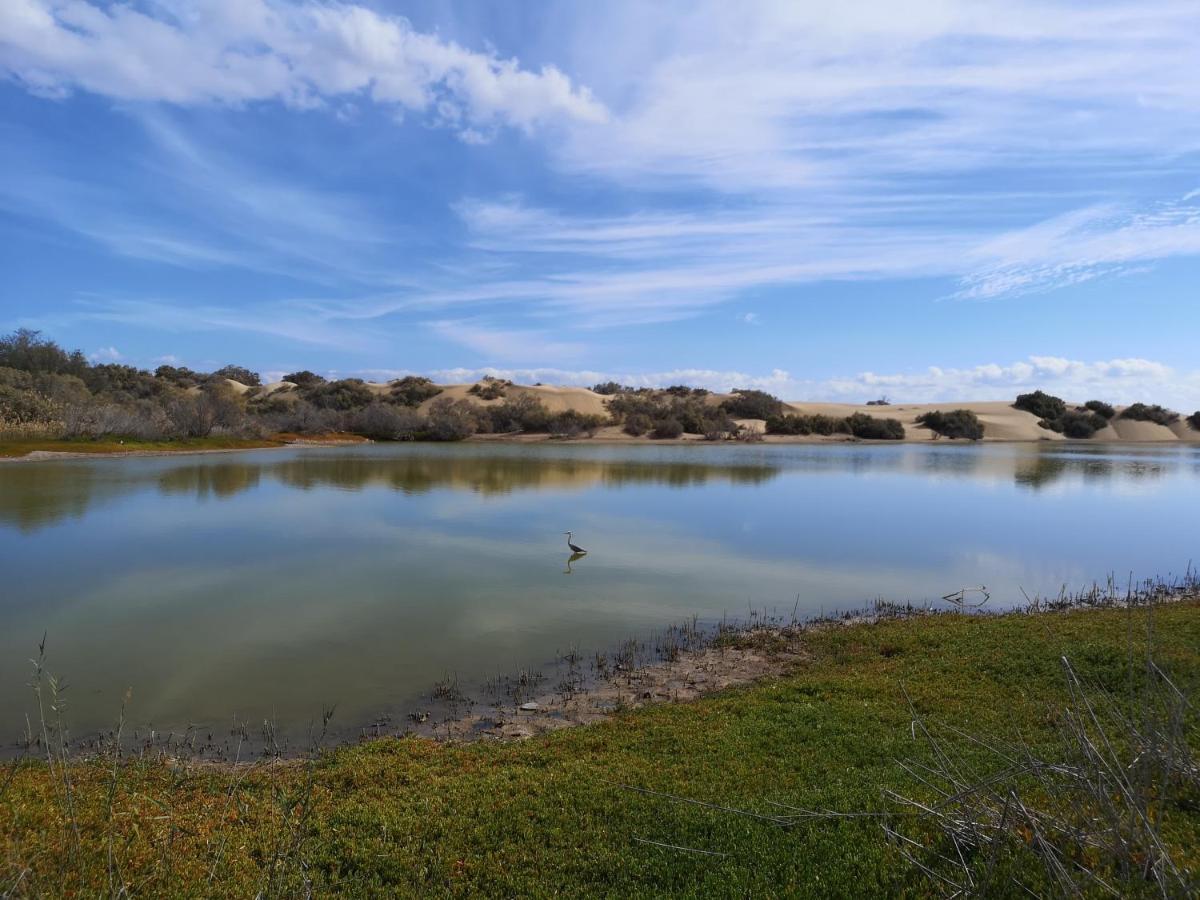 Maspalomas Casa La Loba Buitenkant foto